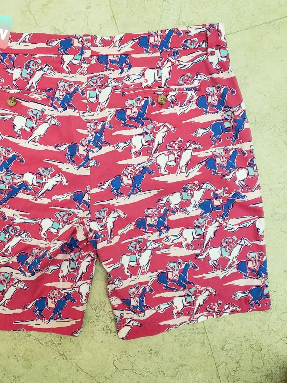 Kentucky Derby VINEYARD VINES Bermuda Shorts